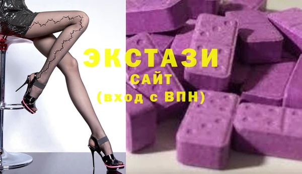 тгк Ельня