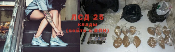 тгк Ельня