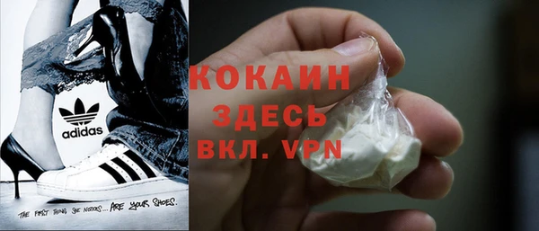 тгк Ельня