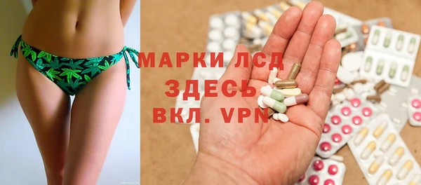 тгк Ельня