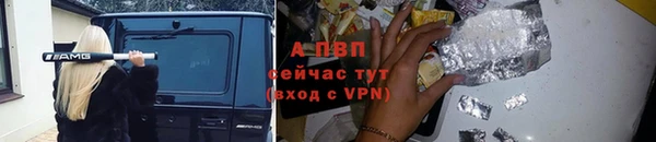 тгк Ельня
