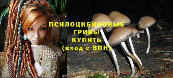 винт Кодинск