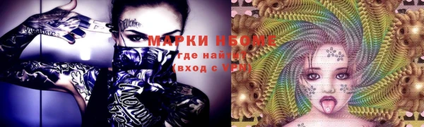 тгк Ельня