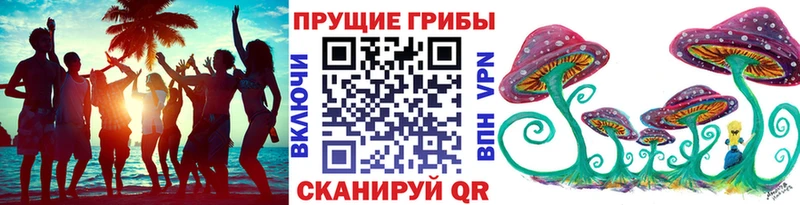 Псилоцибиновые грибы прущие грибы  ОМГ ОМГ ссылка  Маркс 